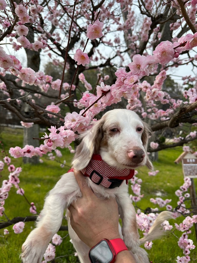 ユーザー写真