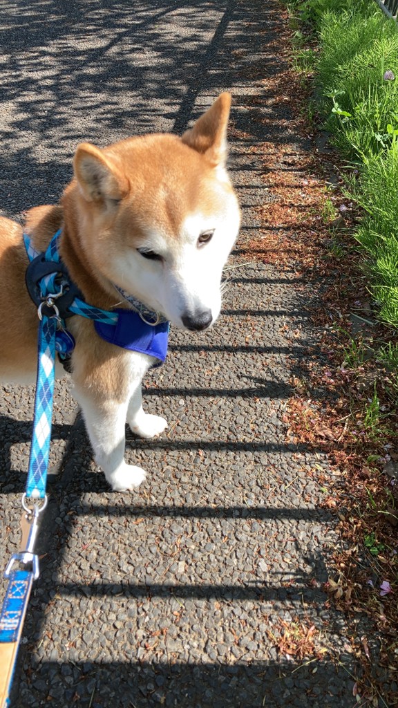 ユーザー写真