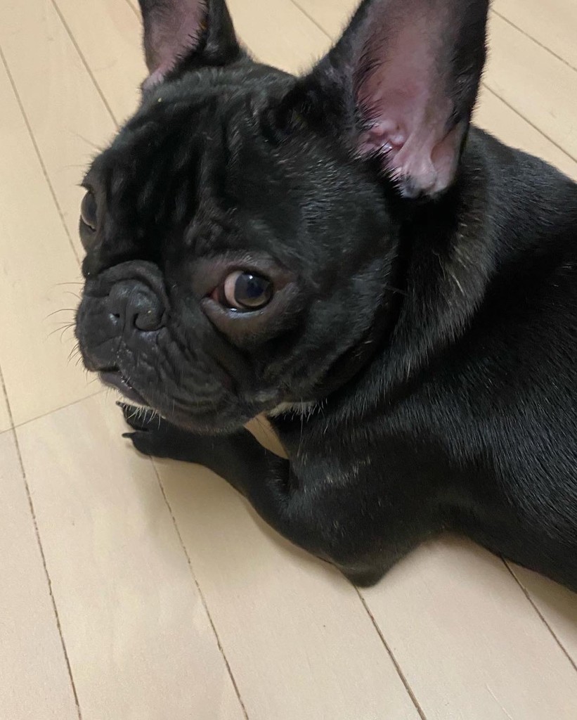 ユーザー写真