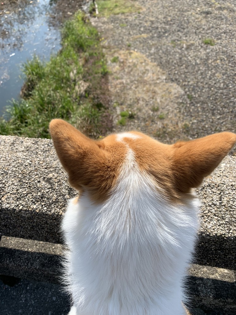 ユーザー写真