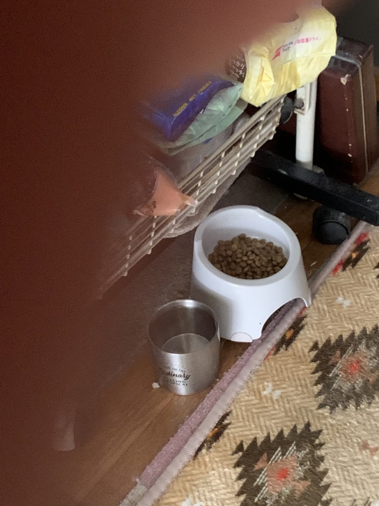 ユーザー写真