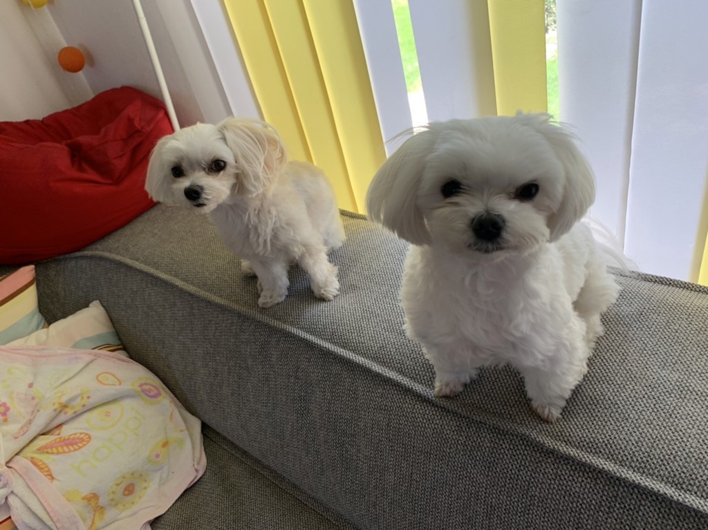 ユーザー写真
