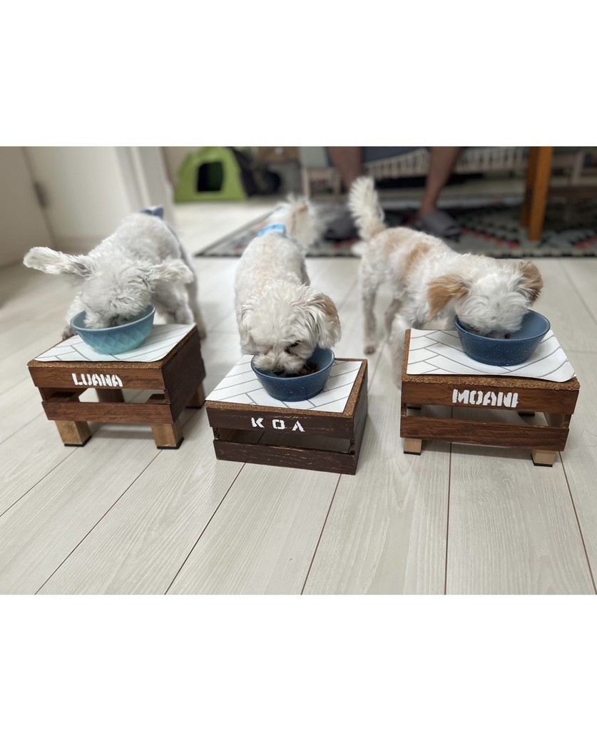 ユーザー写真