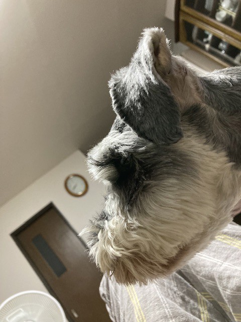 ユーザー写真