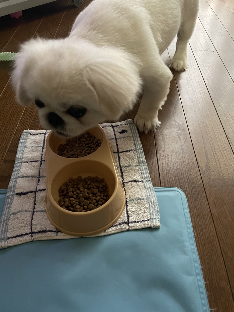 ユーザー写真
