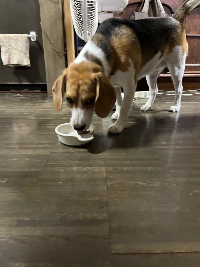ユーザー写真