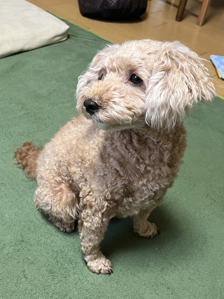 ユーザー写真