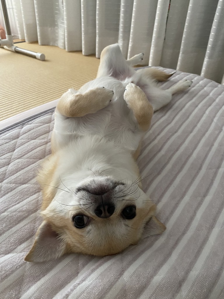 ユーザー写真