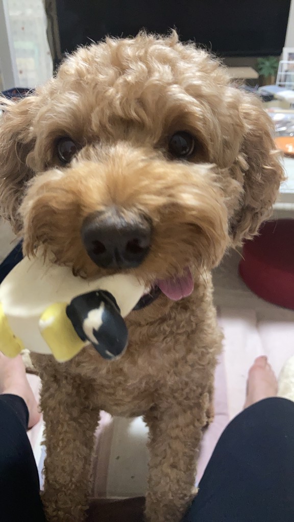 投稿写真
