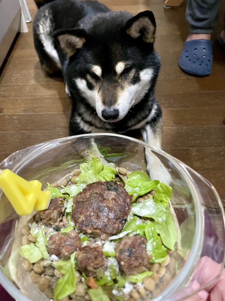 投稿写真
