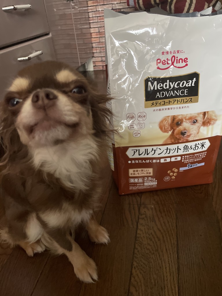 投稿写真