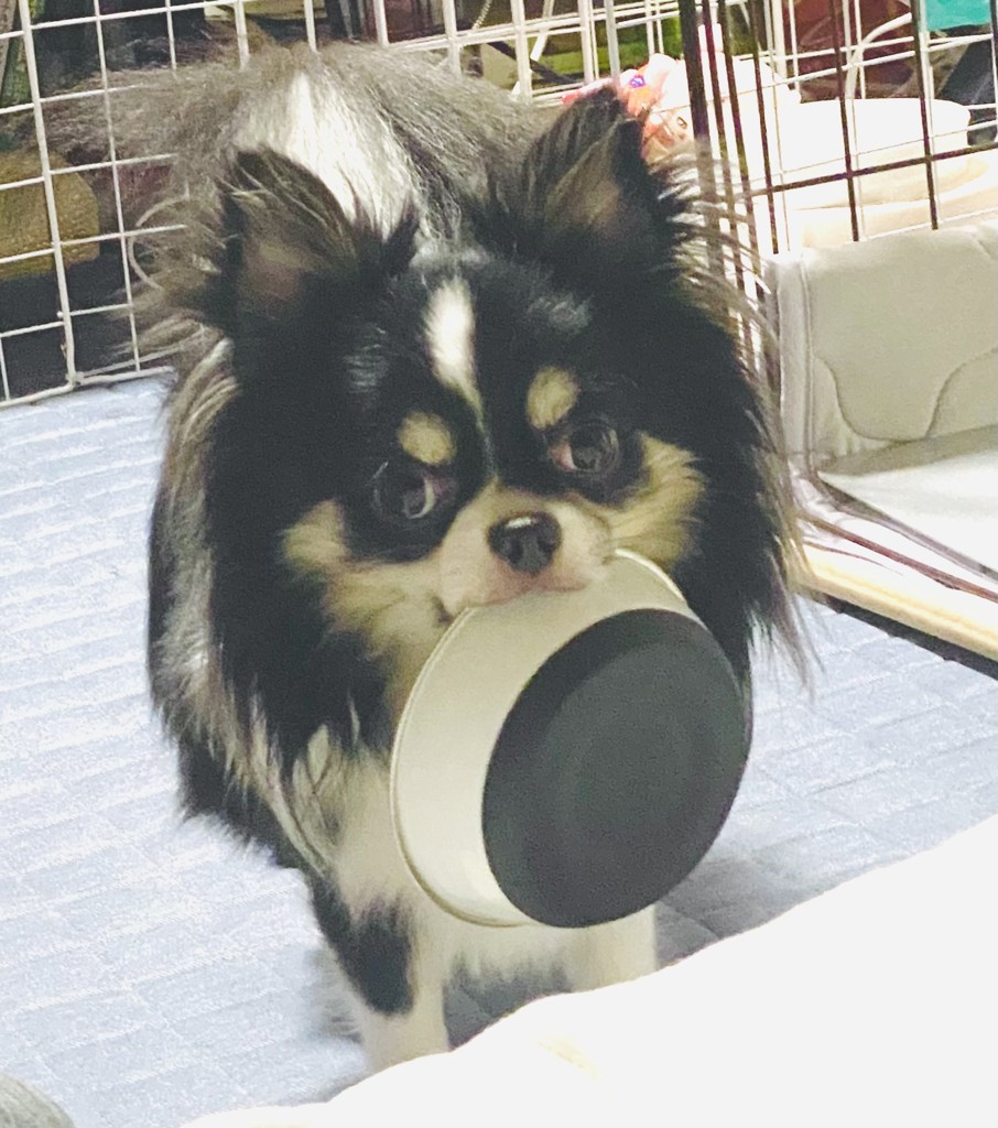 投稿写真