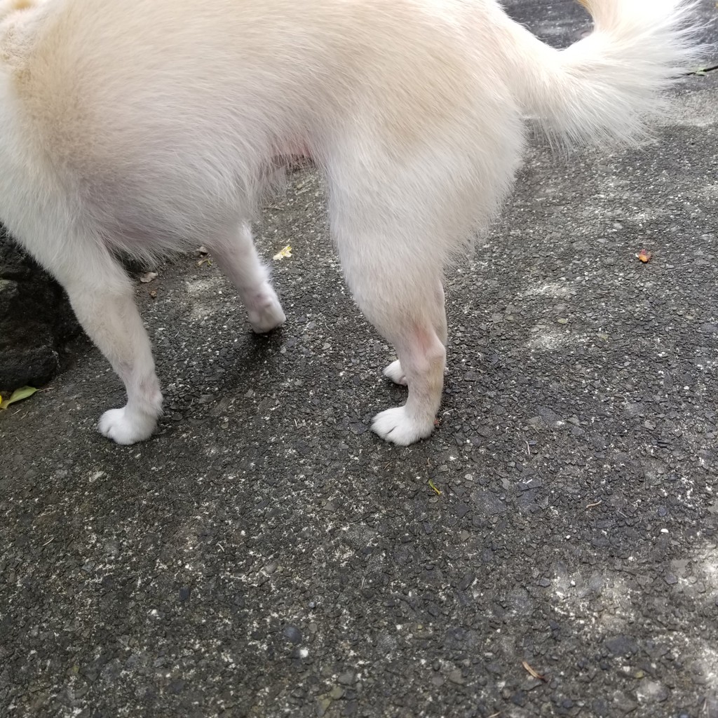 ユーザー写真