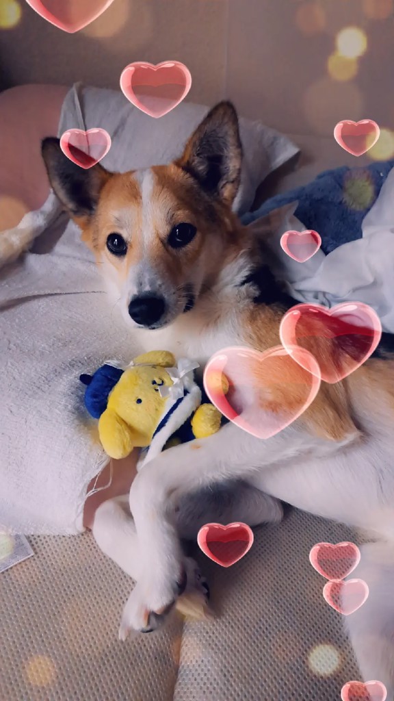 投稿写真