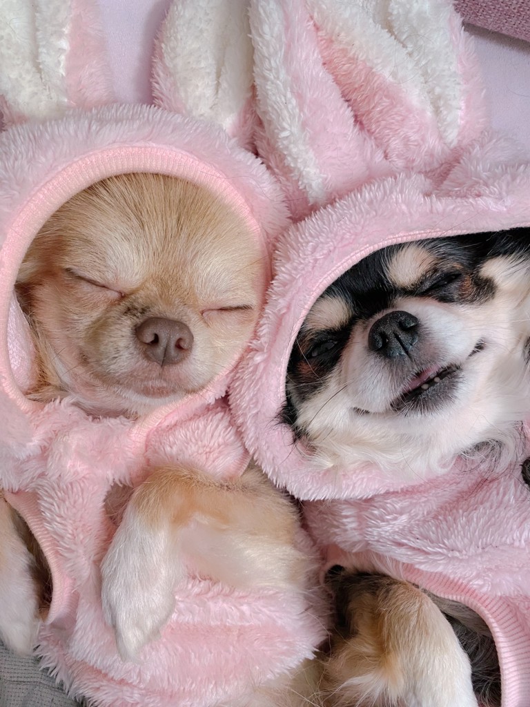 投稿写真
