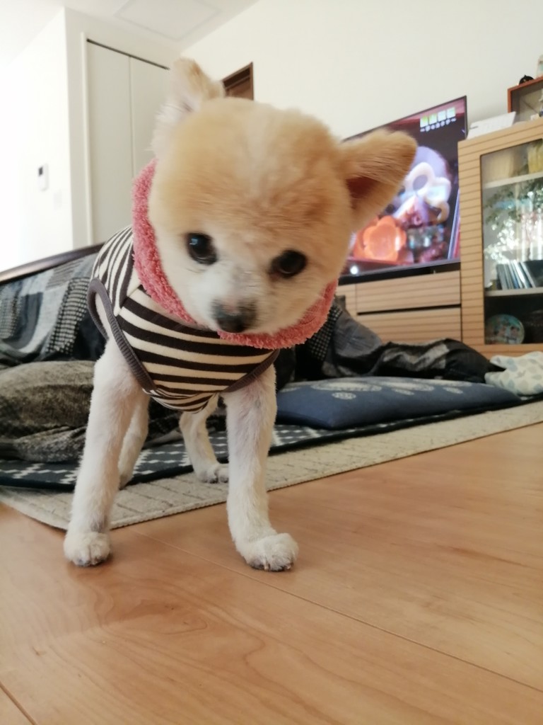 ユーザー写真