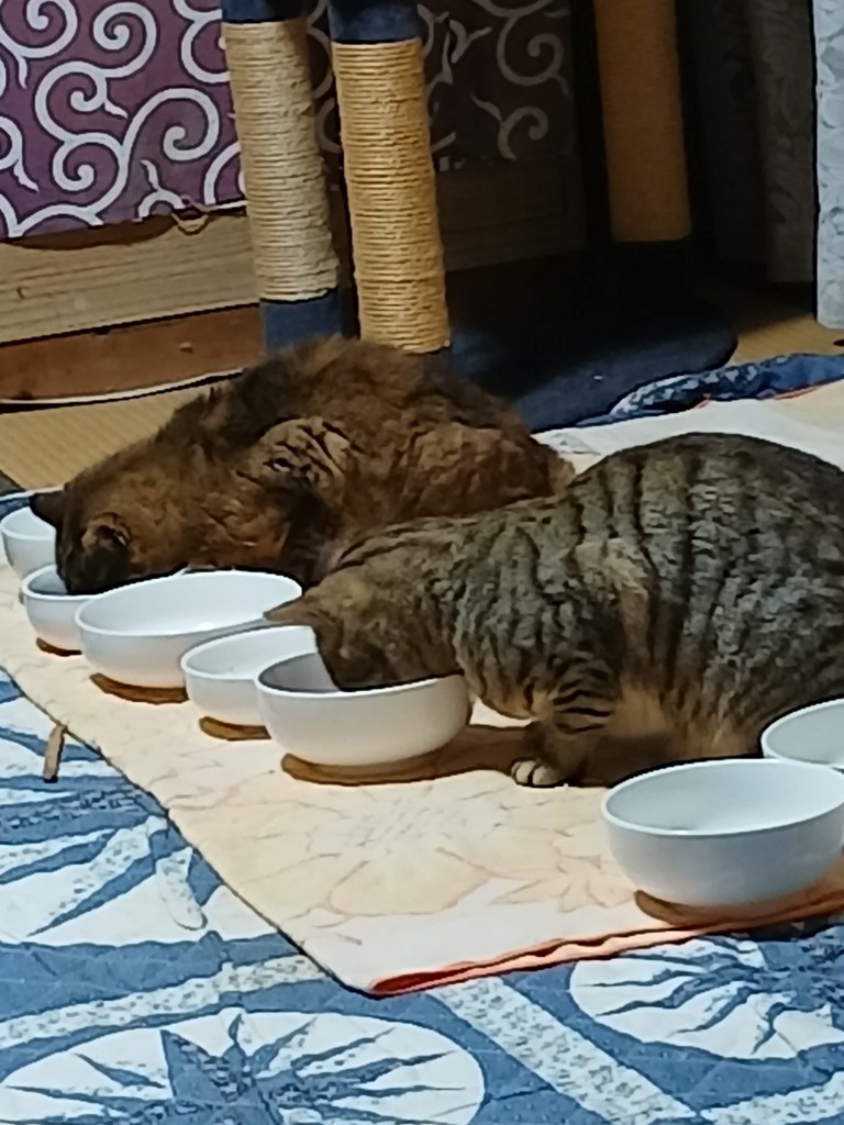 ユーザー写真