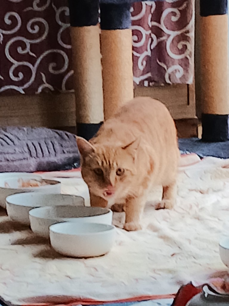 ユーザー写真