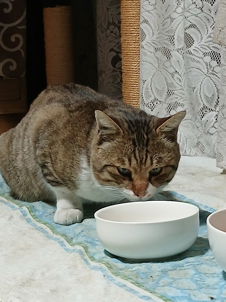 ユーザー写真