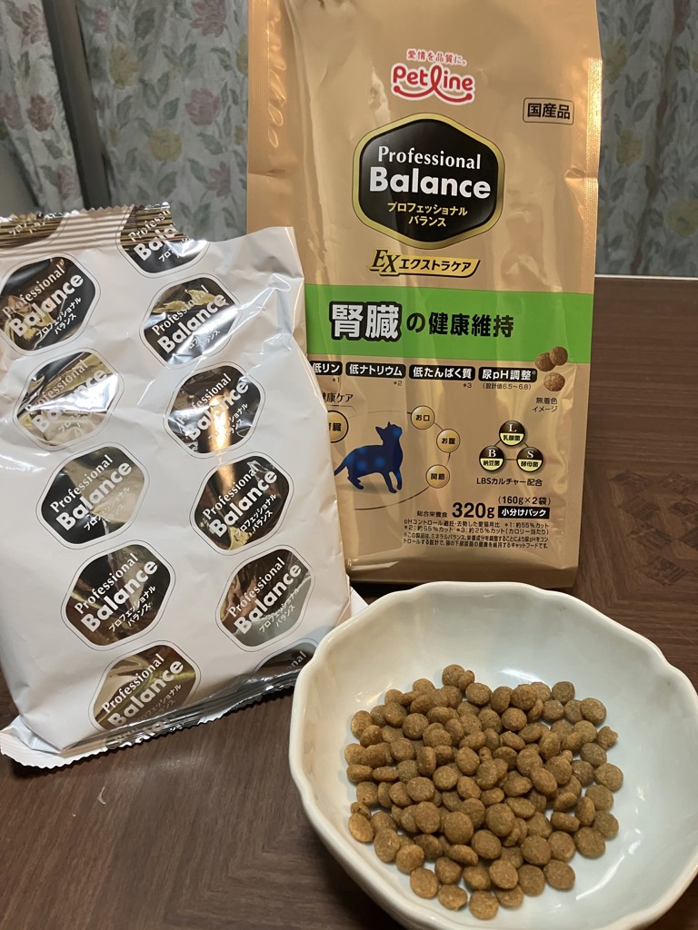 投稿写真