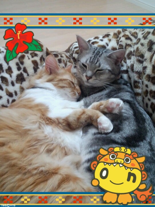 ユーザー写真