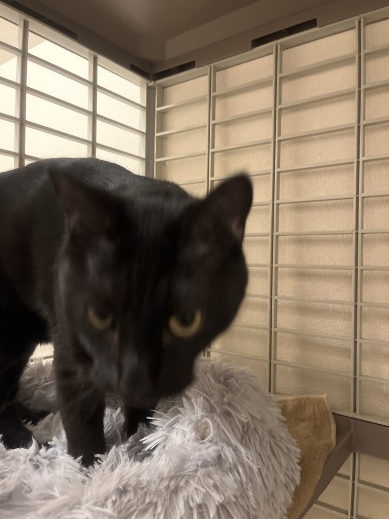ユーザー写真