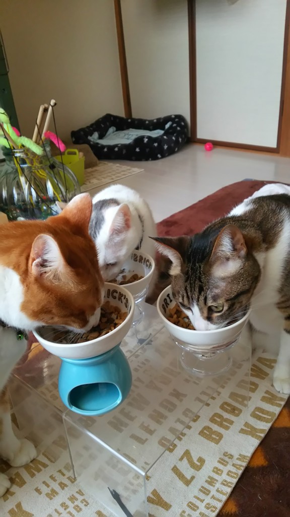 ユーザー写真