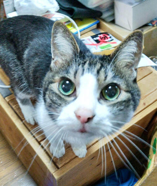 ユーザー写真