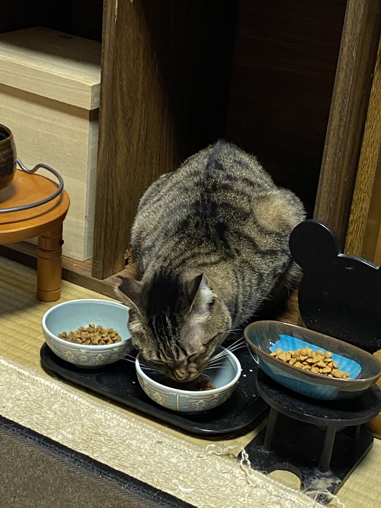 ユーザー写真