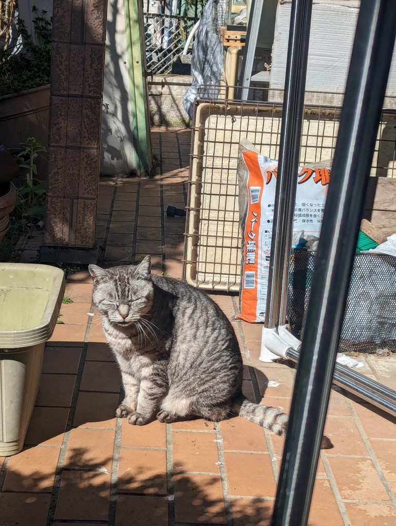 ユーザー写真