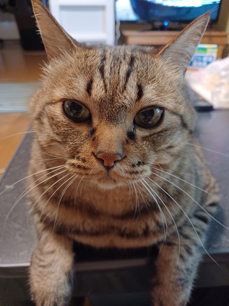 ユーザー写真