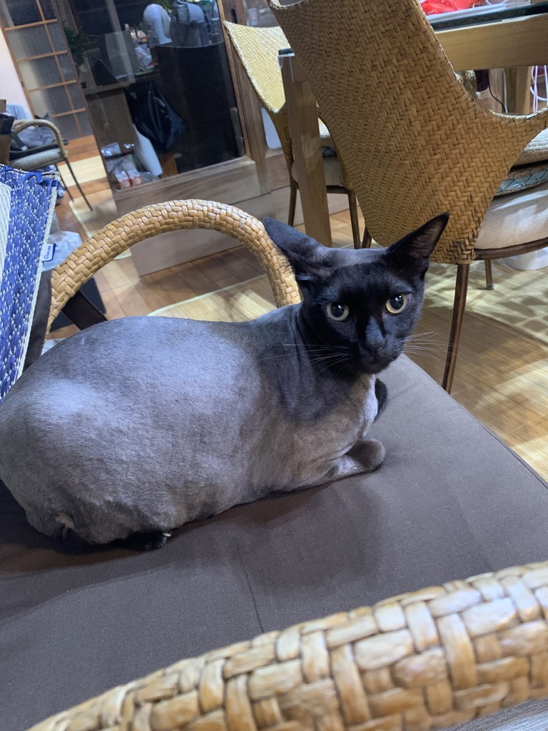 ユーザー写真