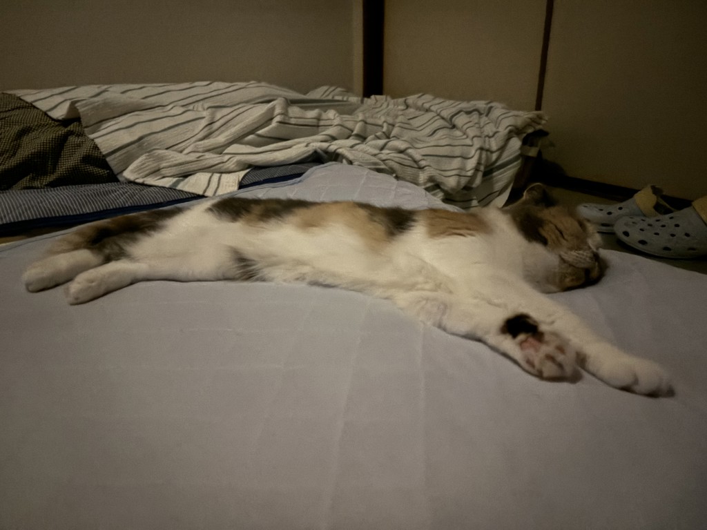 ユーザー写真