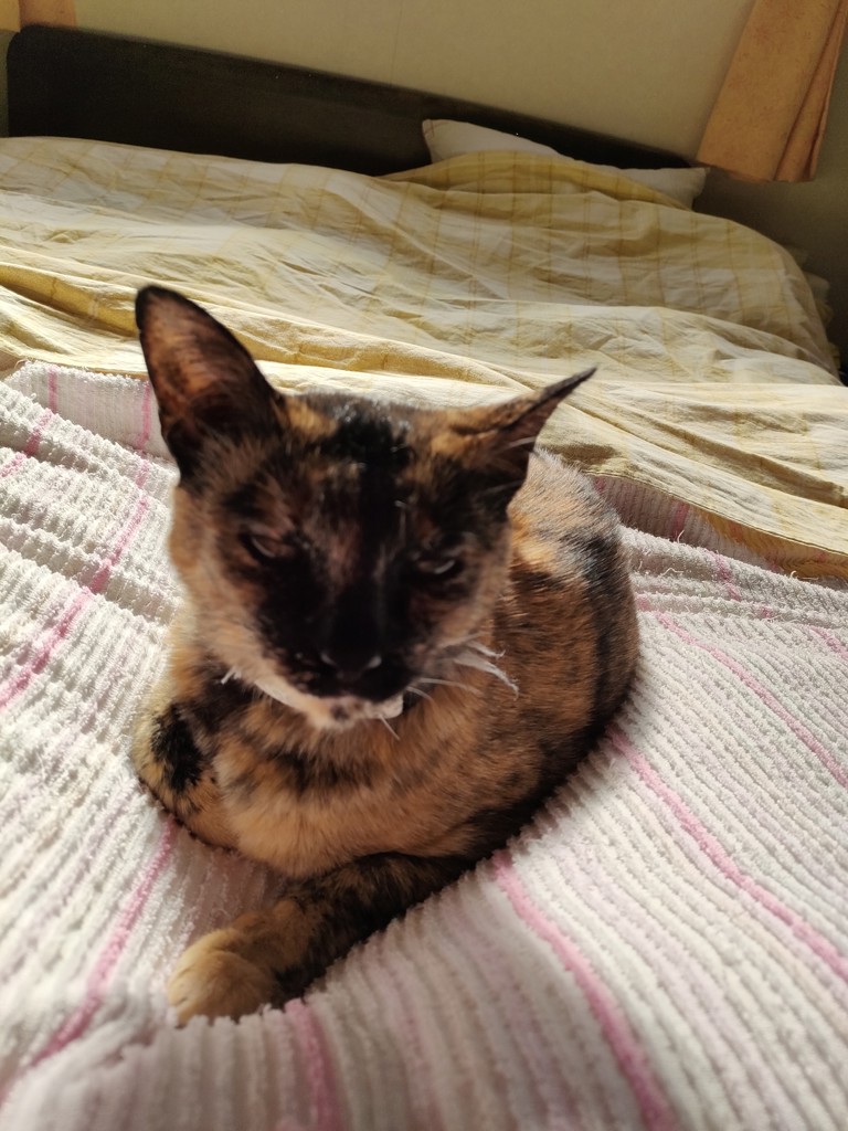 ユーザー写真