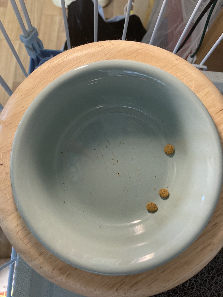 投稿写真