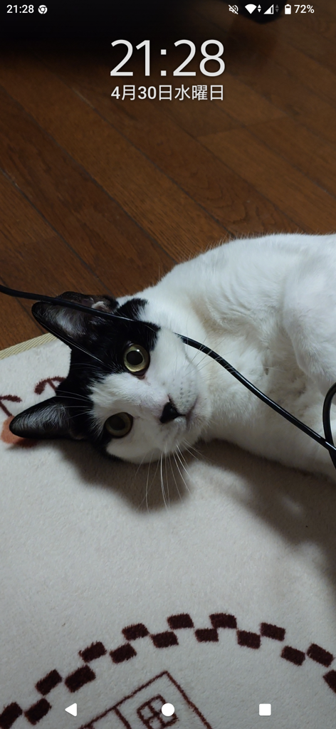 投稿写真