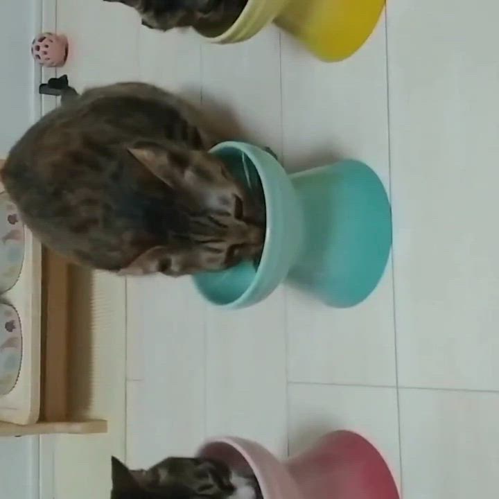 投稿写真