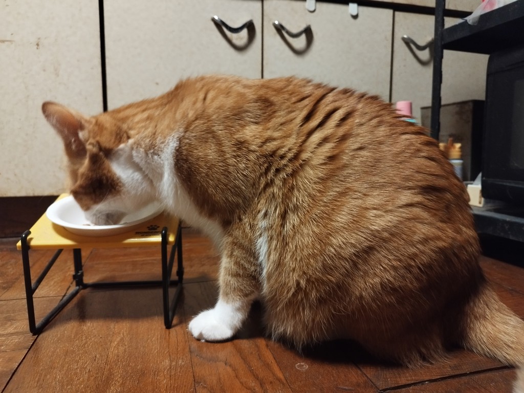 投稿写真