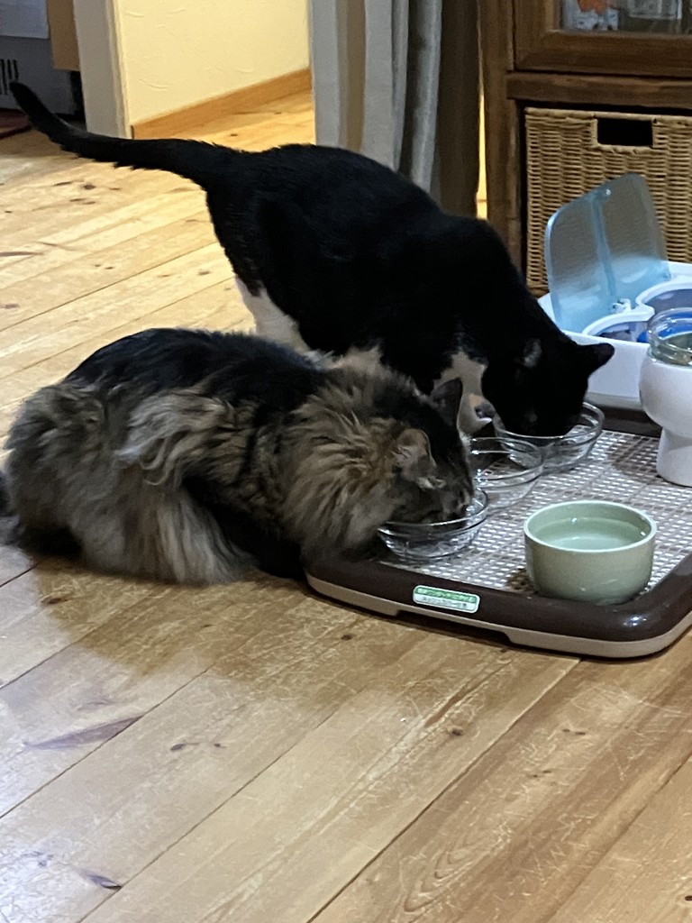 ユーザー写真