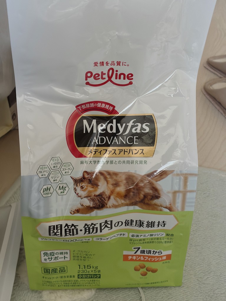投稿写真