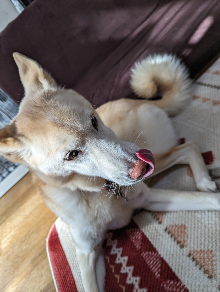 投稿写真