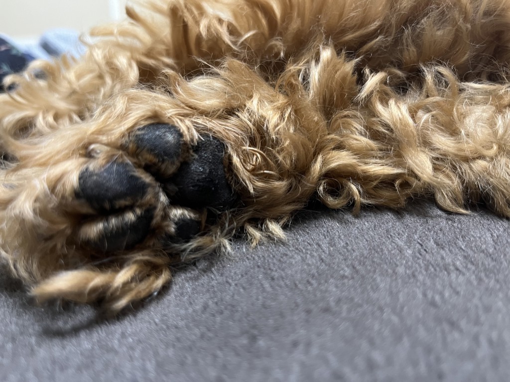 投稿写真