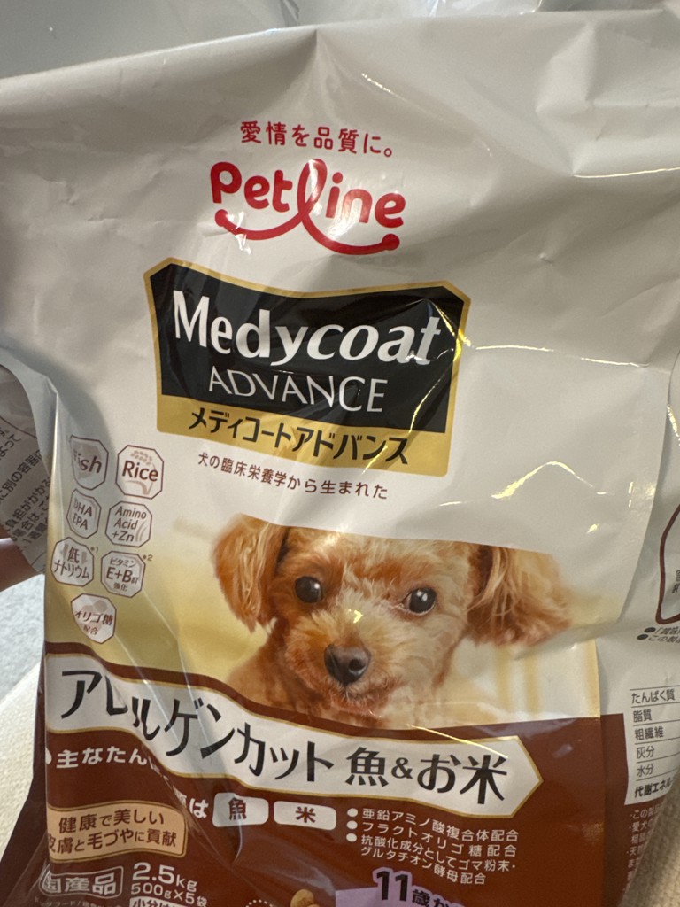 投稿写真