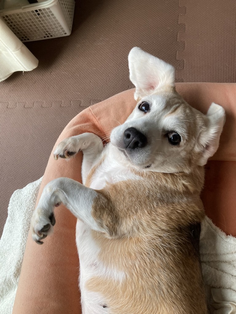 ユーザー写真