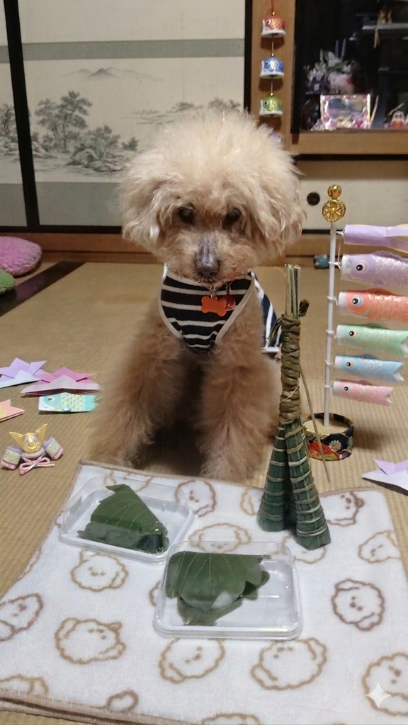 投稿写真
