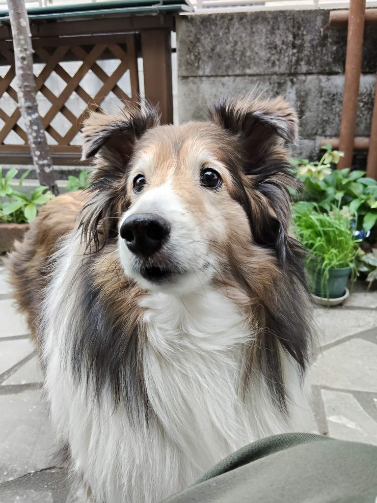ユーザー写真