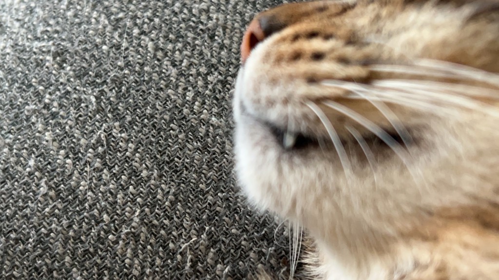 ユーザー写真