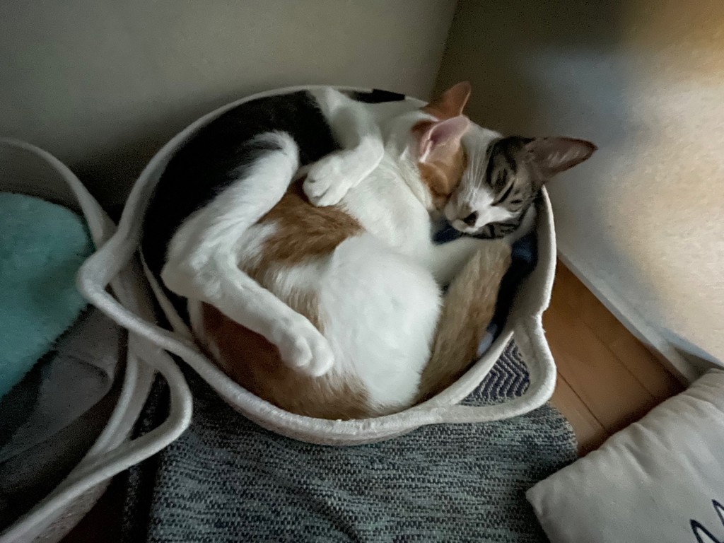 ユーザー写真