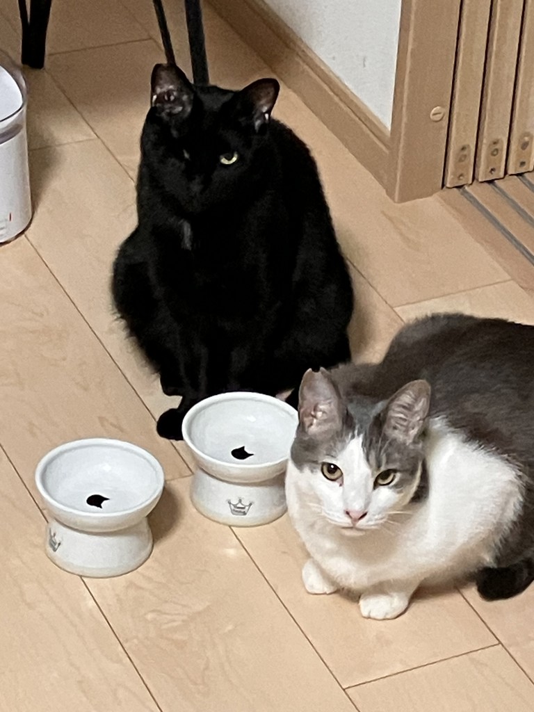 投稿写真
