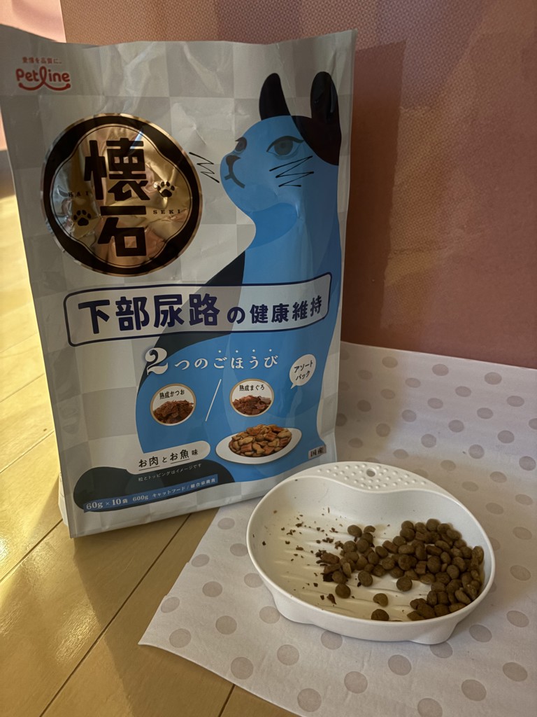 投稿写真